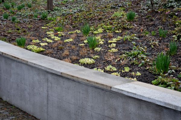 Cost of Concrete Wall Construction in Little Rock