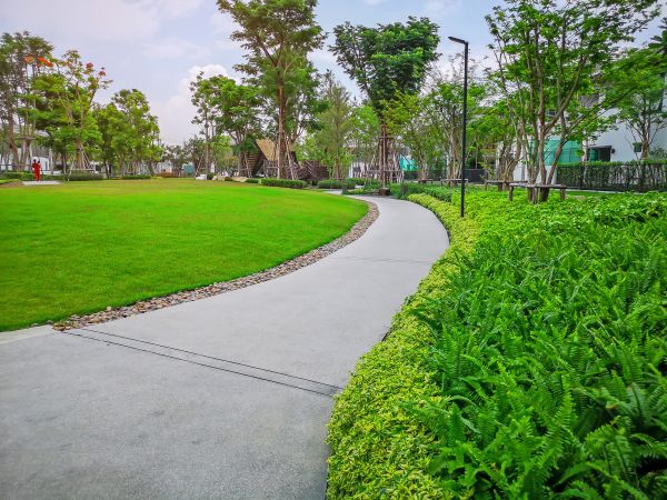 Cost of Cement Walkway Service in Little Rock